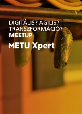 agile_meetup