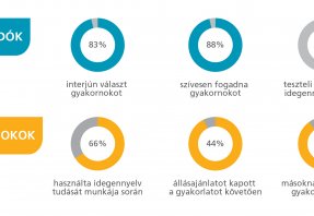 gyakornoki kutatas infografika 2018